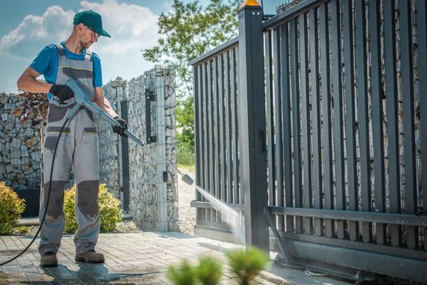 Best Graffiti Removal  in Janesville, IA