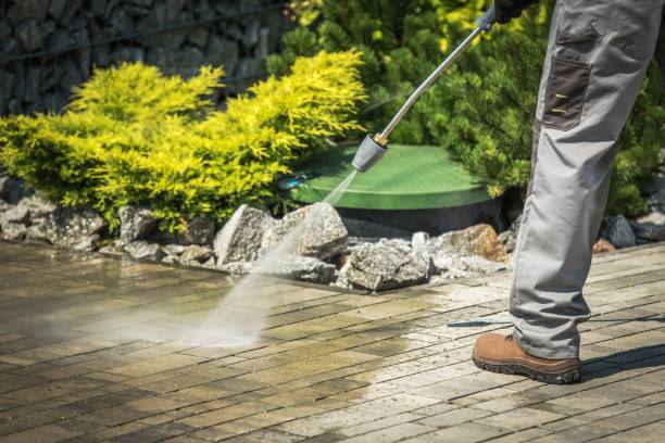 Best Animal Enclosure Cleaning  in Janesville, IA